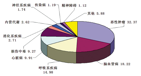 健康头号杀手 城乡差异明显-城乡差异,死亡率,