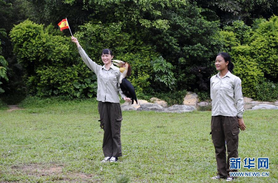动物争当世界杯预测帝-世界杯,预测帝