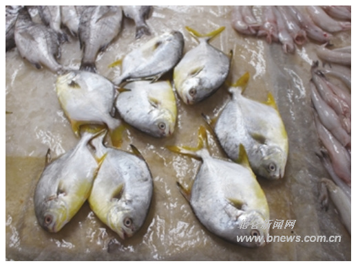 中国海鲜产量_粮食产量_树莓树的产量是多少(2)