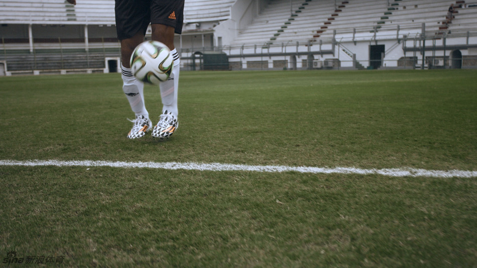 2014���籭�������򹫲�