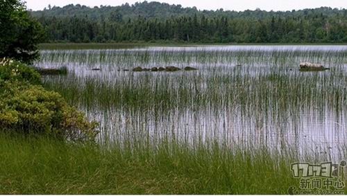 冷知识:日本妹子校服裙子最短 懒惰的人智商高