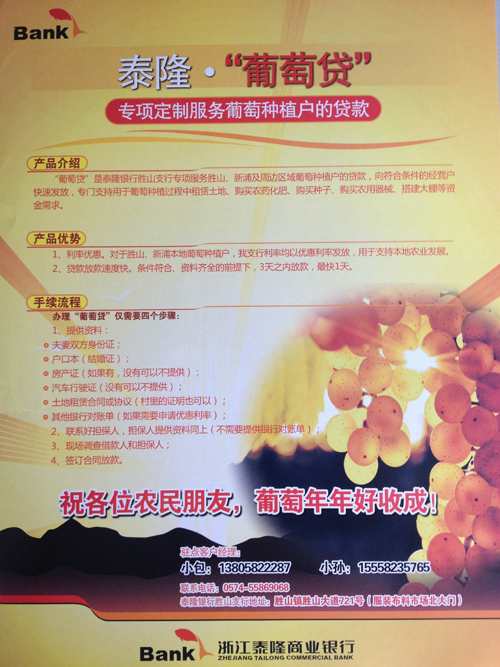 泰隆银行葡萄贷,贷出六塘南村的一片天-葡萄