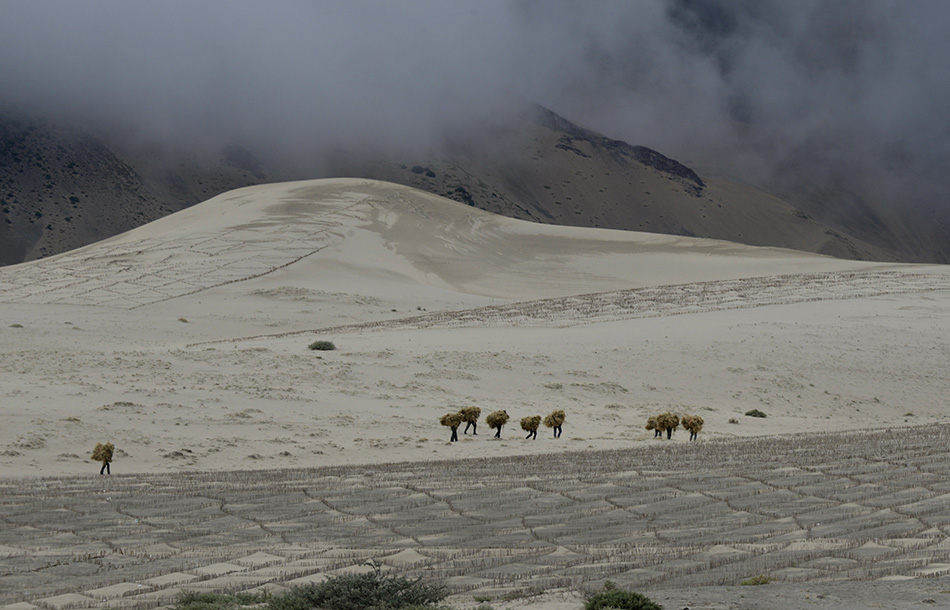 ����Ϊ��³�ز���������ɫ��ʡ�