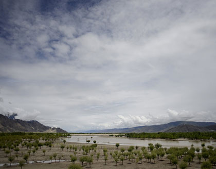 ����Ϊ��³�ز���������ɫ��ʡ�