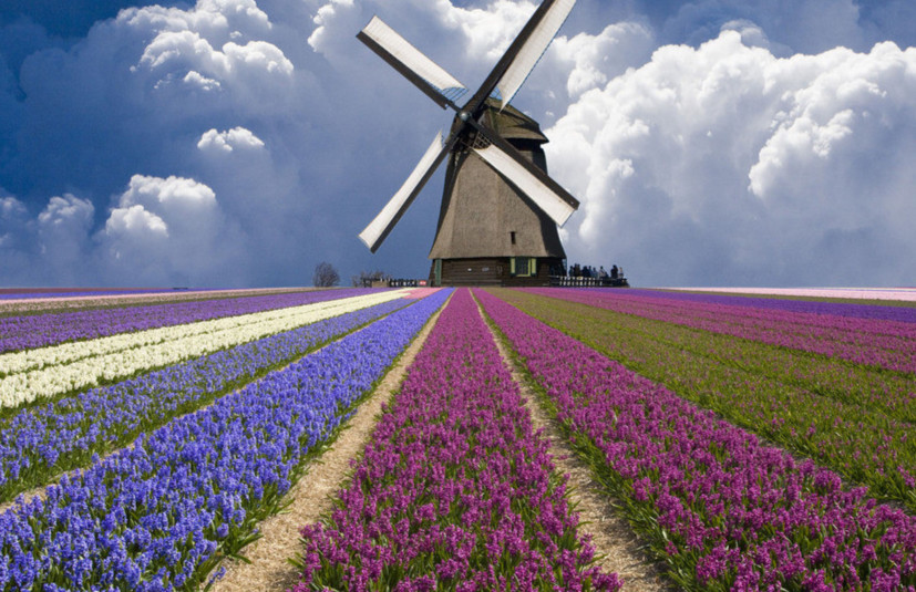 和孩子一起认识世界标志性建筑