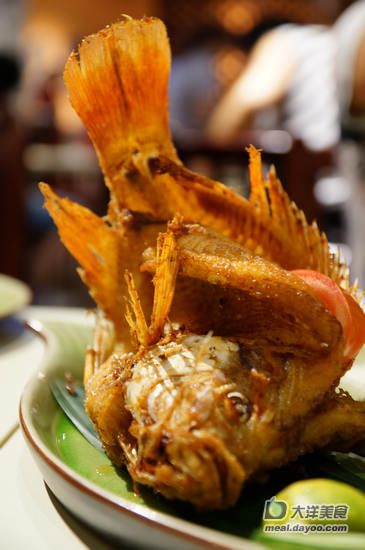 恋热带风情 叹印尼美食-餐厅,味道,老板,印尼人