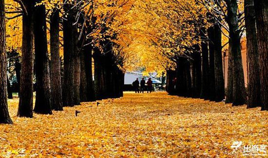 ��������ȥ�Ķ��棿���Ǿ����ƽ�Ҷ