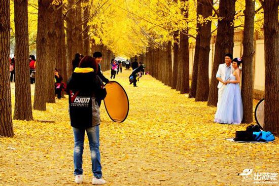 ��������ȥ�Ķ��棿���Ǿ����ƽ�Ҷ