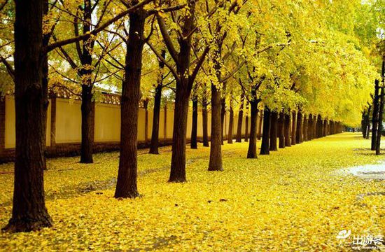 ��������ȥ�Ķ��棿���Ǿ����ƽ�Ҷ