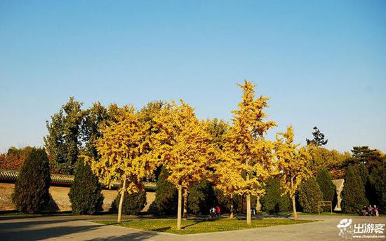 ��������ȥ�Ķ��棿���Ǿ����ƽ�Ҷ