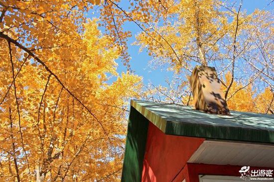 ��������ȥ�Ķ��棿���Ǿ����ƽ�Ҷ