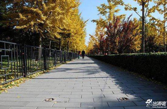 ��������ȥ�Ķ��棿���Ǿ����ƽ�Ҷ