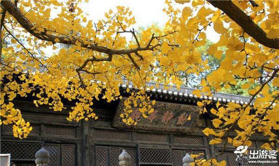 ��������ȥ�Ķ��棿���Ǿ����ƽ�Ҷ