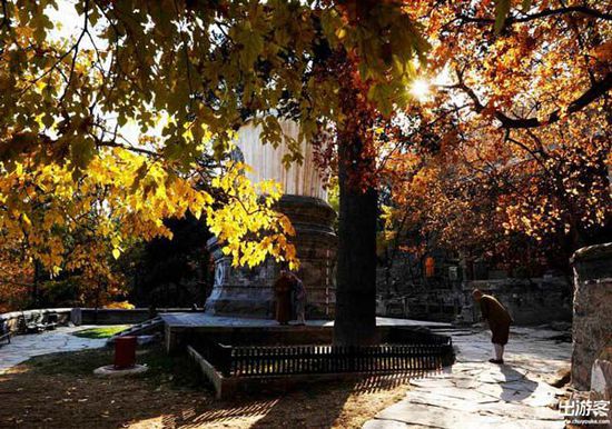 ��������ȥ�Ķ��棿���Ǿ����ƽ�Ҷ