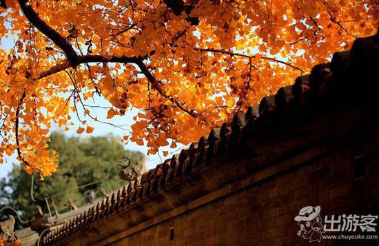 ��������ȥ�Ķ��棿���Ǿ����ƽ�Ҷ