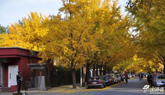 ��������ȥ�Ķ��棿���Ǿ����ƽ�Ҷ