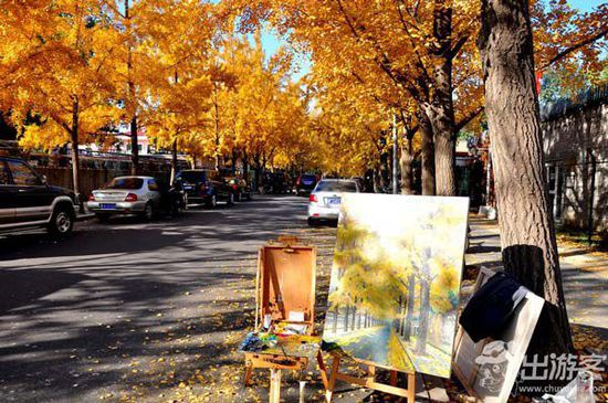 ��������ȥ�Ķ��棿���Ǿ����ƽ�Ҷ