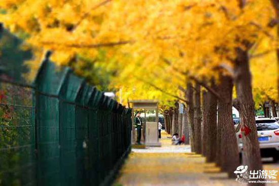 ��������ȥ�Ķ��棿���Ǿ����ƽ�Ҷ