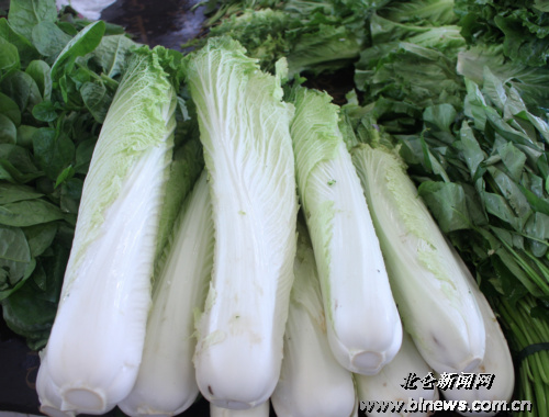 这种“高富帅”大白菜你吃过吗?