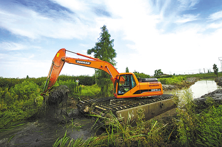 奉化铁腕治污 硕果累累-奉化市,河道,治理,五水