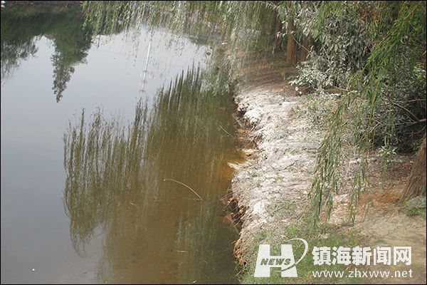 小骆花园旁惊现黄河水 河面泛黄近一月