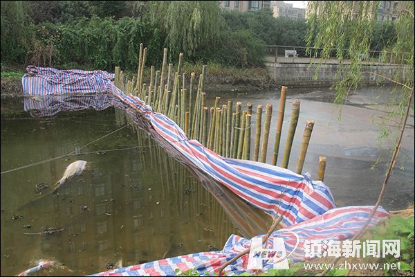 小骆花园旁惊现黄河水 河面泛黄近一月
