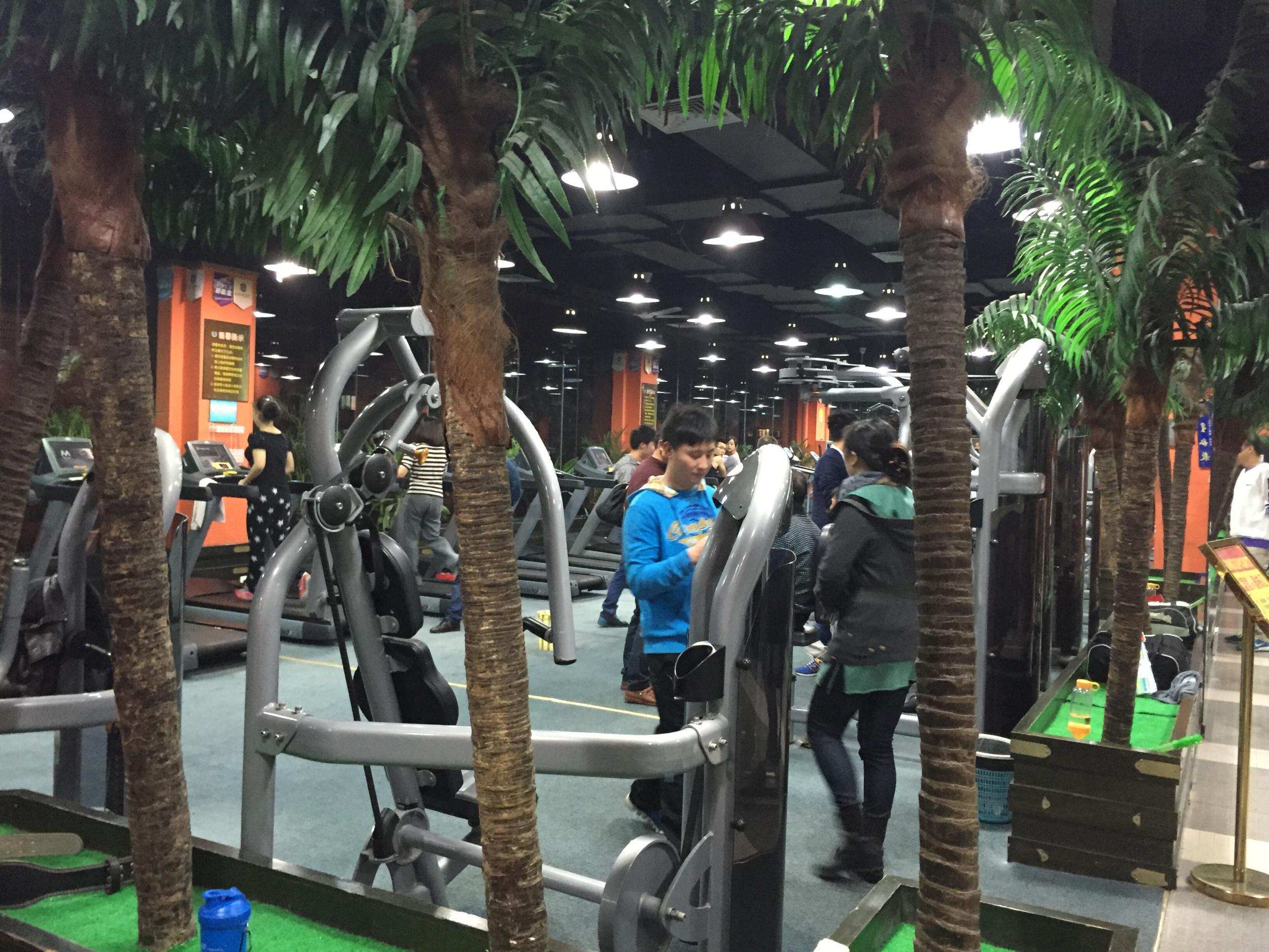 椒江金仕堡健身房老板跑路 三千多会员退款无