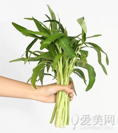 头发出油?是你的肝火旺!