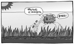 本报持续关注的童王河基本达到四类水质标准