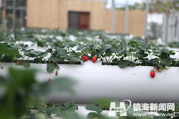 塱ݮ