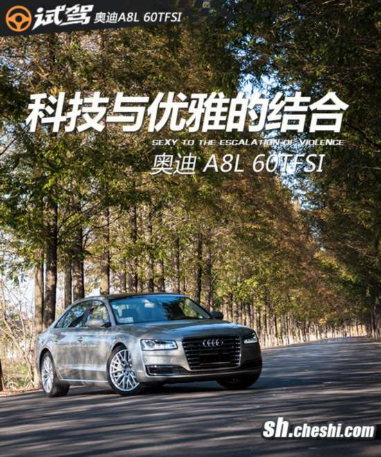 2014款奥迪A8L试驾 科技与优雅的结合