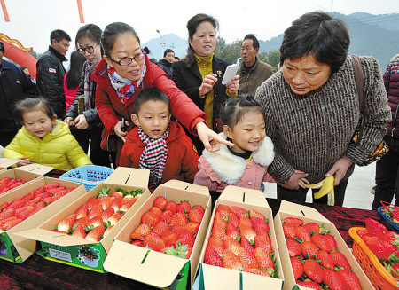 尚田草莓文化节昨开幕 一箱草莓拍出8700元高