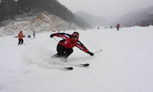 滑滑雪赏赏油菜花 春节长假浙江旅游好去处-游