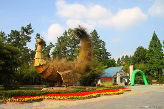 滑滑雪赏赏油菜花 春节长假浙江旅游好去处-游