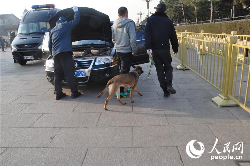 组图:15只搜爆犬广场嗅遍两会用车