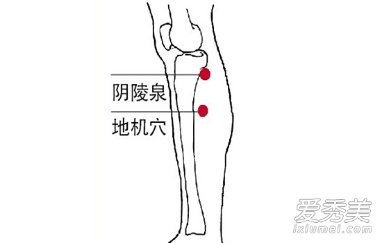 如何摸骨头 3960933_914719.jpg