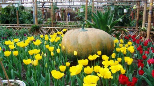 慈溪杭州湾大桥生态农庄