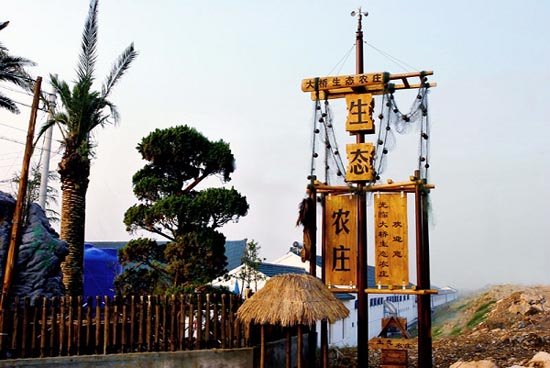 慈溪杭州湾大桥生态农庄