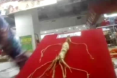 �Ź������˲��ý�ճ �ȼ��ز������µ���û�˹�