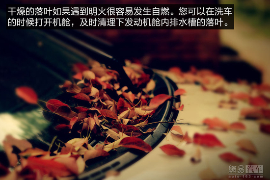 防患于未"燃" 夏日用车养车注意事项