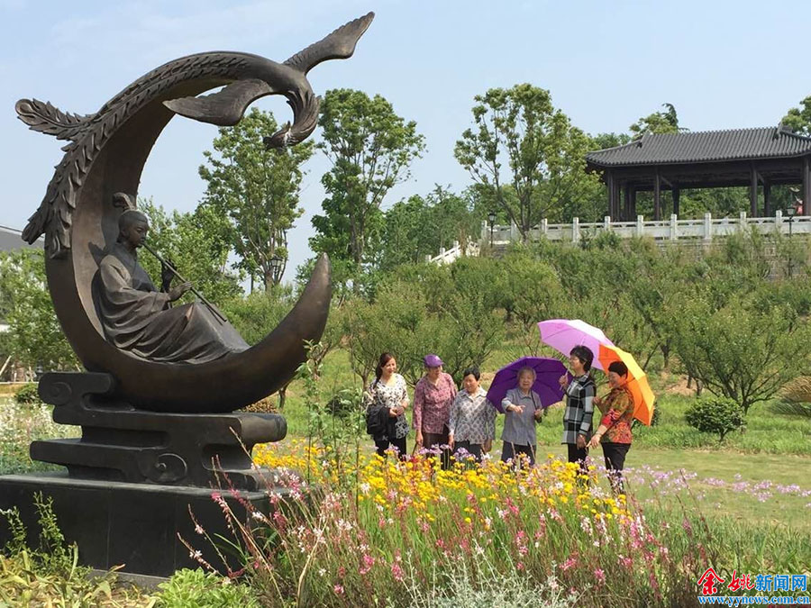 大妈,来看看这美丽的景色-余姚,山公园,张旭东