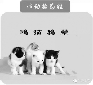 乜姓人口
