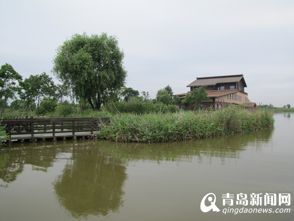 探访杭州湾国家湿地公园 电影搜索里的幸福屋