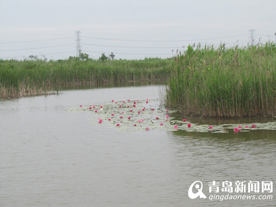 ̽�ú��������ʪ�ع�԰ ��Ӱ��������Ҹ���