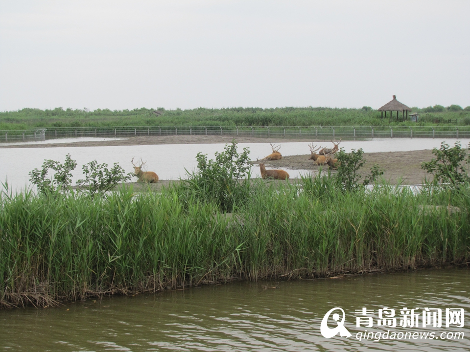 ̽�ú��������ʪ�ع�԰ ��Ӱ��������Ҹ���