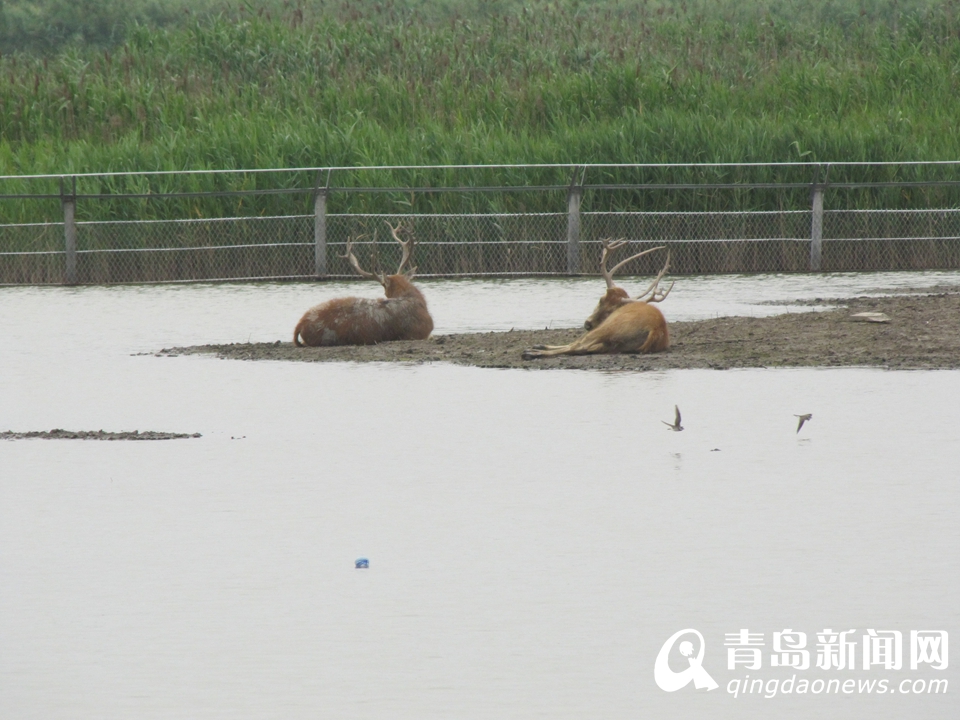 ̽�ú��������ʪ�ع�԰ ��Ӱ��������Ҹ���