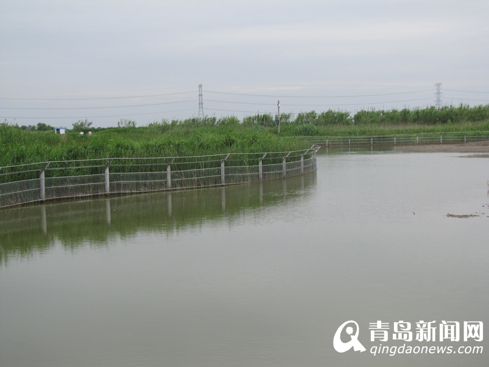 ̽�ú��������ʪ�ع�԰ ��Ӱ��������Ҹ���