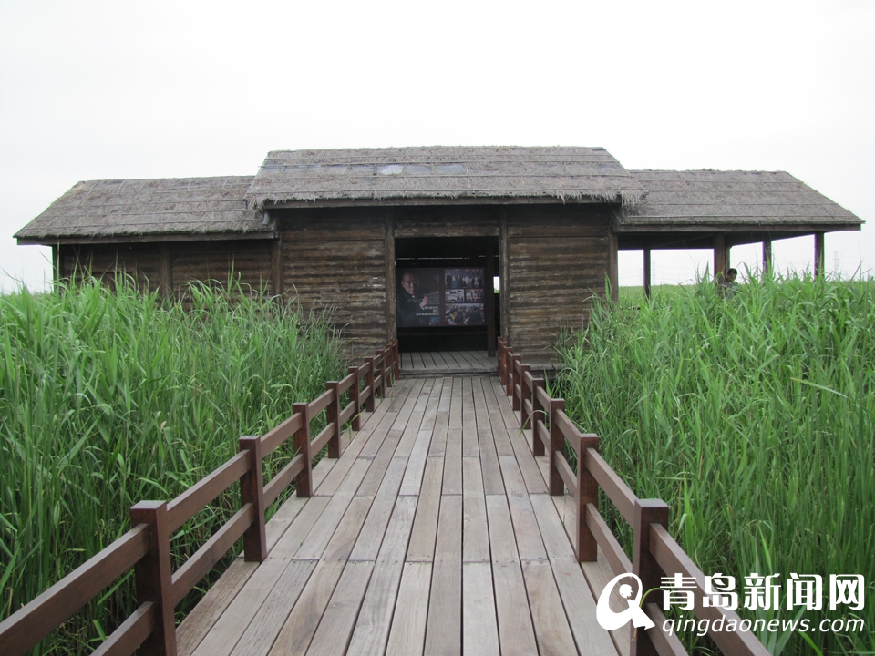 ̽�ú��������ʪ�ع�԰ ��Ӱ��������Ҹ���