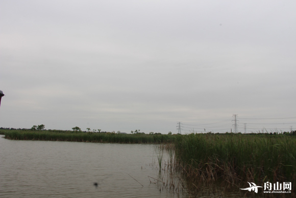 W020150605075429605380.jpg (580×387)