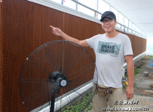 多肉植物度夏难 多多通风是关键